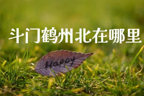斗门鹤州北在哪里_https://www.gongyisiwang.com_道指_第1张