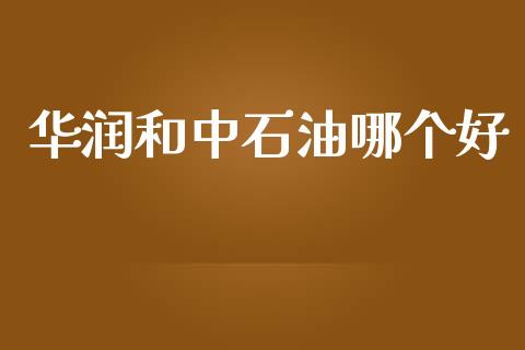 华润和中石油哪个好_https://www.gongyisiwang.com_股指期货交易手续费_第1张