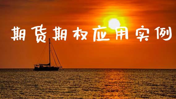期货期权应用实例_https://www.gongyisiwang.com_股指期货交易手续费_第1张