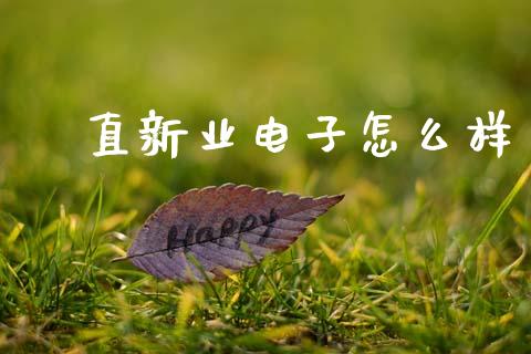 甪直新业电子怎么样_https://www.gongyisiwang.com_广发期货手续费_第1张