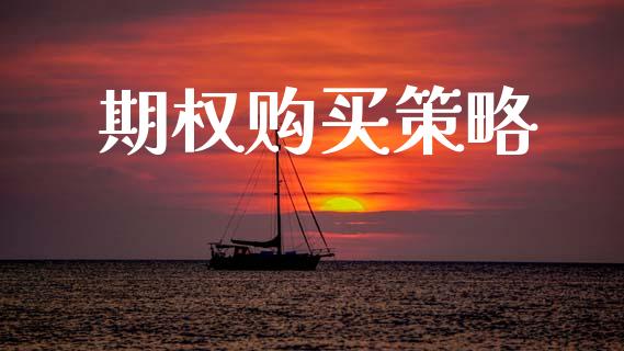 期权购买策略_https://www.gongyisiwang.com_原油期货_第1张