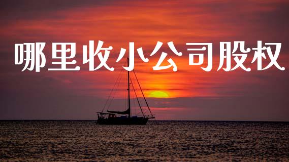 哪里收小公司股权_https://www.gongyisiwang.com_期货公司手续费排名_第1张