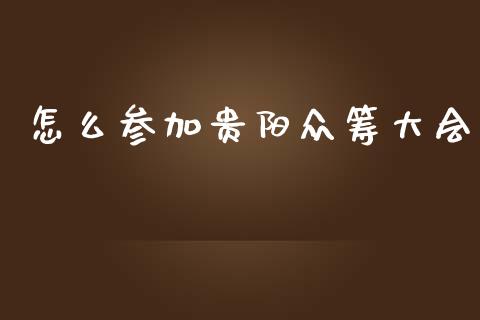 怎么参加贵阳众筹大会_https://www.gongyisiwang.com_股指期货交易手续费_第1张