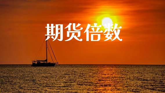 期货倍数_https://www.gongyisiwang.com_股指期货交易手续费_第1张
