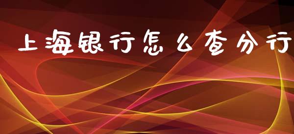 上海银行怎么查分行_https://www.gongyisiwang.com_广发期货手续费_第1张