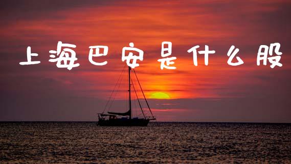 上海巴安是什么股_https://www.gongyisiwang.com_股指期货交易手续费_第1张