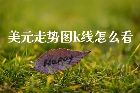 美元走势图k线怎么看_https://www.gongyisiwang.com_期货公司手续费排名_第1张