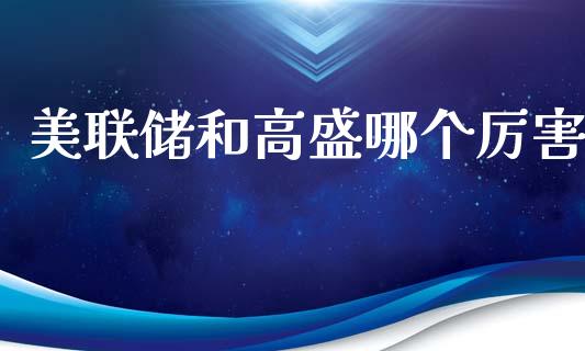 美联储和高盛哪个厉害_https://www.gongyisiwang.com_股指期货_第1张