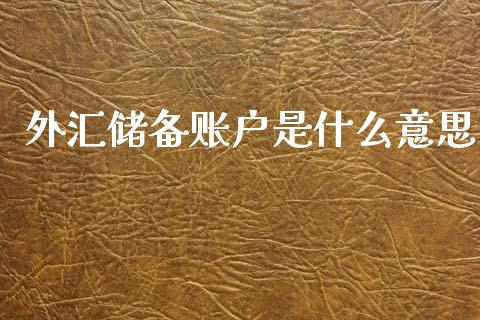 外汇储备账户是什么意思_https://www.gongyisiwang.com_焦炭期货手续费_第1张