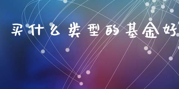 买什么类型的基金好_https://www.gongyisiwang.com_期货公司手续费排名_第1张