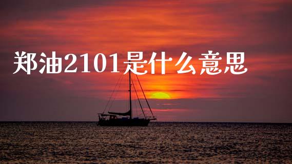 郑油2101是什么意思_https://www.gongyisiwang.com_焦炭期货手续费_第1张