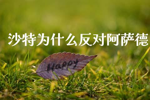沙特为什么反对阿萨德_https://www.gongyisiwang.com_焦炭期货手续费_第1张