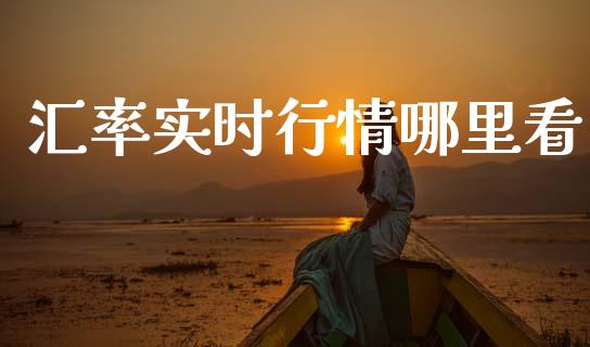 汇率实时行情哪里看_https://www.gongyisiwang.com_焦炭期货手续费_第1张