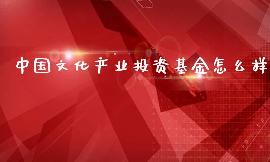 中国文化产业投资基金怎么样_https://www.gongyisiwang.com_广发期货手续费_第1张