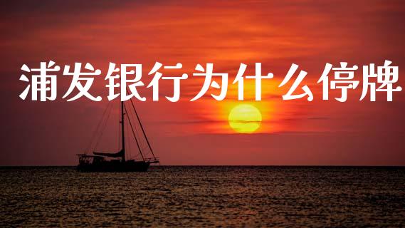 浦发银行为什么停牌_https://www.gongyisiwang.com_股指期货交易手续费_第1张