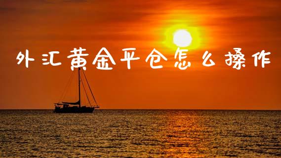 外汇黄金平仓怎么搡作_https://www.gongyisiwang.com_焦炭期货手续费_第1张