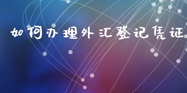 如何办理外汇登记凭证_https://www.gongyisiwang.com_焦炭期货手续费_第1张