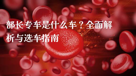 部长专车是什么车？全面解析与选车指南_https://www.gongyisiwang.com_期货公司手续费排名_第1张