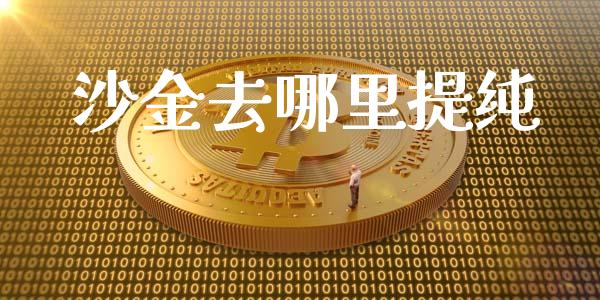 沙金去哪里提纯_https://www.gongyisiwang.com_期货公司手续费排名_第1张