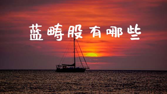 蓝畴股有哪些_https://www.gongyisiwang.com_道指_第1张