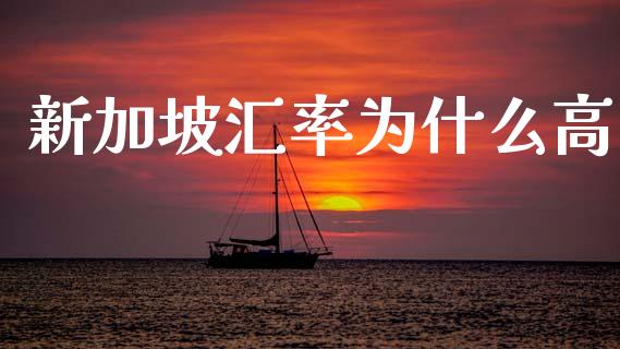 新加坡汇率为什么高_https://www.gongyisiwang.com_恒指期货_第1张
