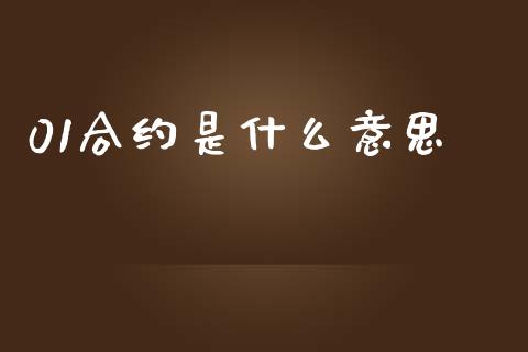 01合约是什么意思_https://www.gongyisiwang.com_股指期货_第1张