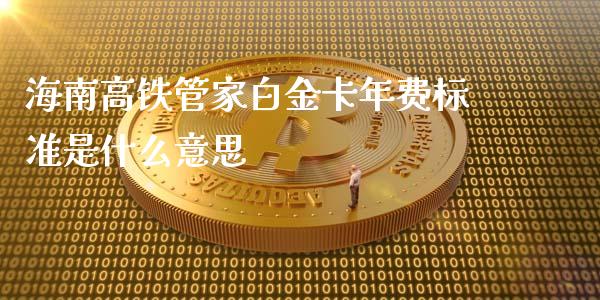 海南高铁管家白金卡年费标准是什么意思_https://www.gongyisiwang.com_焦炭期货手续费_第1张