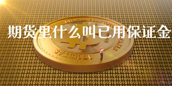 期货里什么叫已用保证金_https://www.gongyisiwang.com_原油期货_第1张