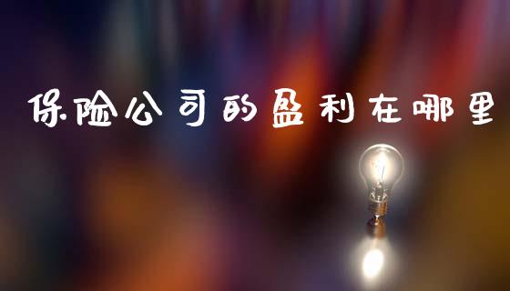 保险公司的盈利在哪里_https://www.gongyisiwang.com_期货公司手续费排名_第1张
