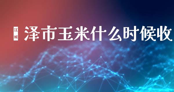 菏泽市玉米什么时候收_https://www.gongyisiwang.com_期货公司手续费排名_第1张