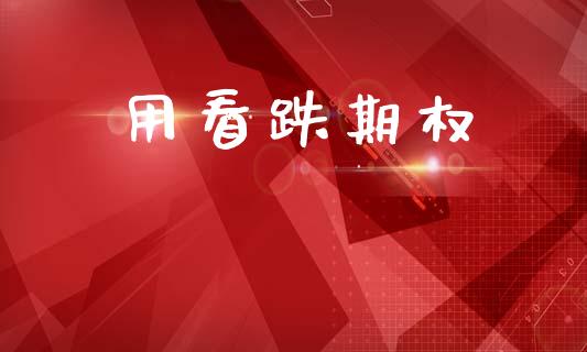 用看跌期权_https://www.gongyisiwang.com_道指_第1张