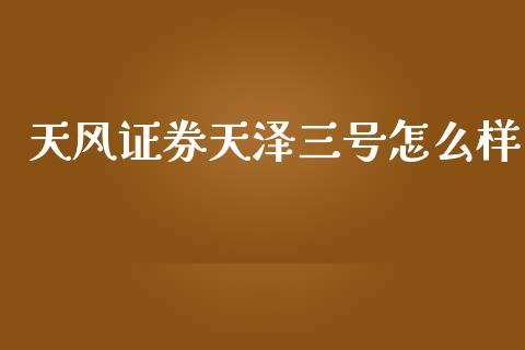 天风证券天泽三号怎么样_https://www.gongyisiwang.com_广发期货手续费_第1张