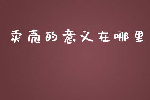 卖壳的意义在哪里_https://www.gongyisiwang.com_期货公司手续费排名_第1张