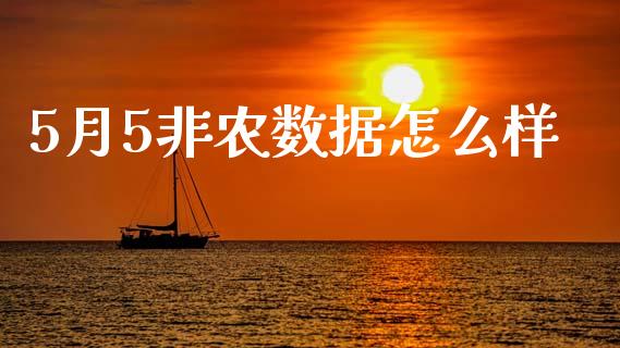5月5非农数据怎么样_https://www.gongyisiwang.com_原油期货_第1张