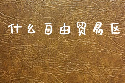 什么自由贸易区_https://www.gongyisiwang.com_股指期货交易手续费_第1张