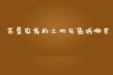 苏垦农发的土地在盐城哪里_https://www.gongyisiwang.com_股指期货交易手续费_第1张