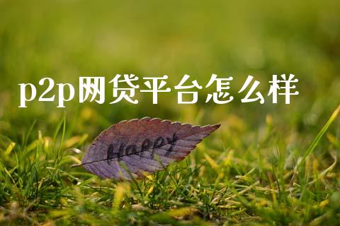 p2p网贷平台怎么样_https://www.gongyisiwang.com_原油期货_第1张