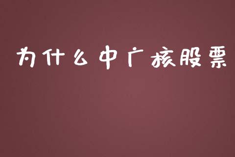 为什么中广核股票_https://www.gongyisiwang.com_股指期货交易手续费_第1张