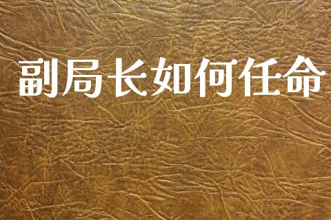 副局长如何任命_https://www.gongyisiwang.com_股指期货交易手续费_第1张