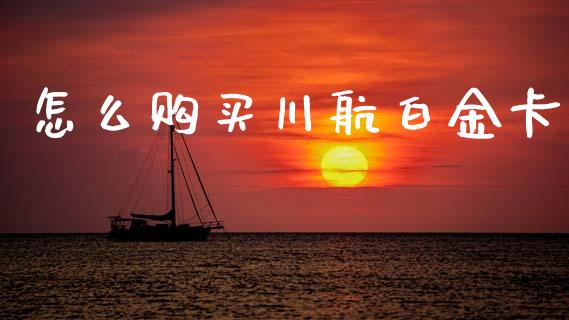 怎么购买川航白金卡_https://www.gongyisiwang.com_股指期货_第1张