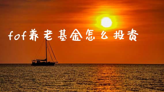 fof养老基金怎么投资_https://www.gongyisiwang.com_道指_第1张