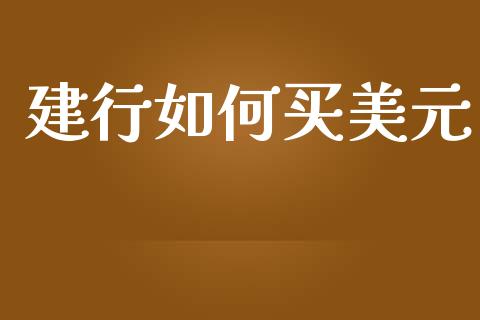 建行如何买美元_https://www.gongyisiwang.com_股指期货交易手续费_第1张