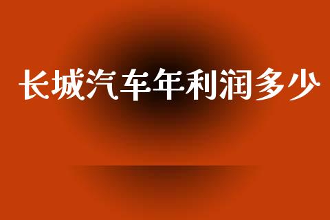长城汽车年利润多少_https://www.gongyisiwang.com_股指期货交易手续费_第1张