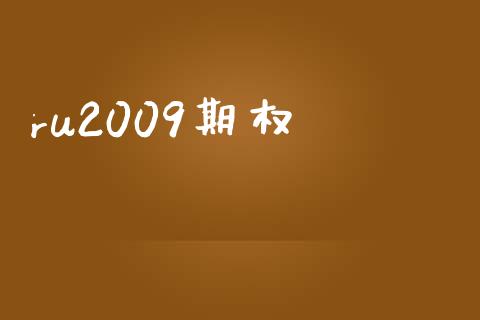 ru2009期权_https://www.gongyisiwang.com_广发期货手续费_第1张