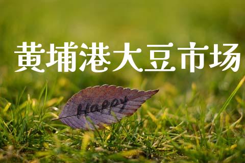 黄埔港大豆市场_https://www.gongyisiwang.com_期货公司手续费排名_第1张
