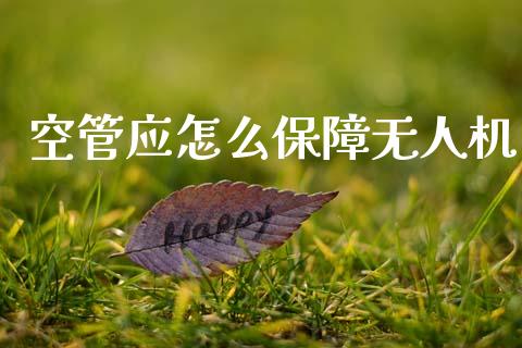 空管应怎么保障无人机_https://www.gongyisiwang.com_股指期货交易手续费_第1张
