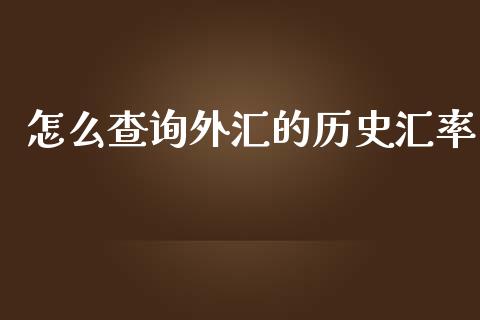 怎么查询外汇的历史汇率_https://www.gongyisiwang.com_恒指期货_第1张