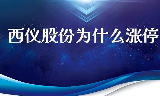 西仪股份为什么涨停_https://www.gongyisiwang.com_期货公司手续费排名_第1张