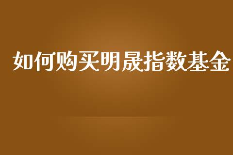 如何购买明晟指数基金_https://www.gongyisiwang.com_原油期货_第1张