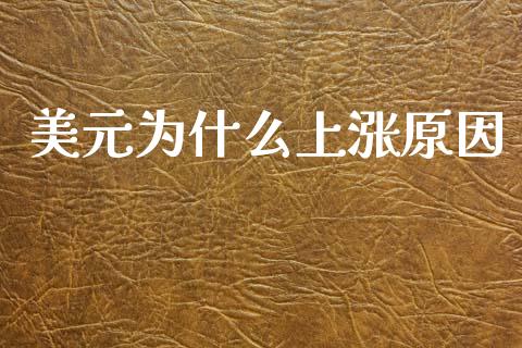 美元为什么上涨原因_https://www.gongyisiwang.com_原油期货_第1张